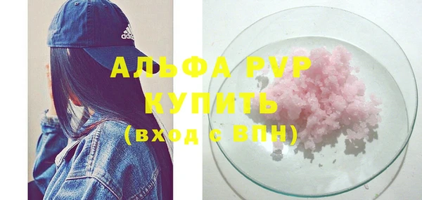 ECSTASY Гусь-Хрустальный