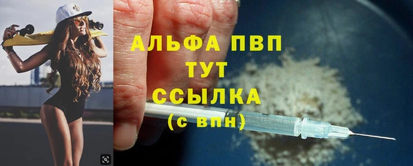 ECSTASY Гусь-Хрустальный