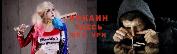 прущая мука Гусиноозёрск