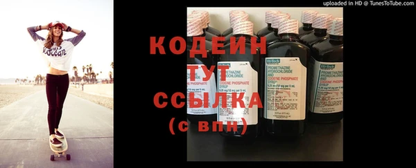 2c-b Гусев