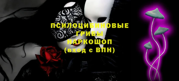 ECSTASY Гусь-Хрустальный