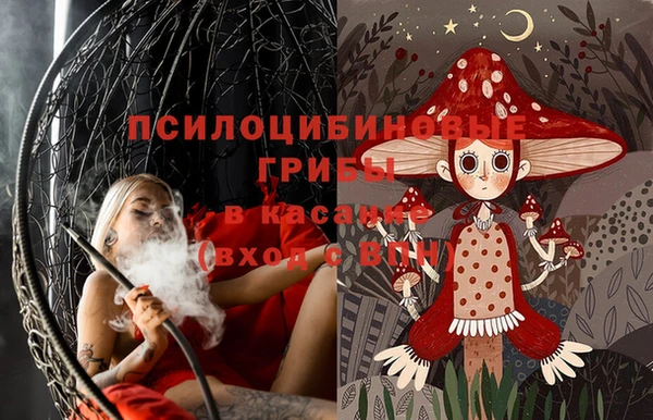 ECSTASY Гусь-Хрустальный