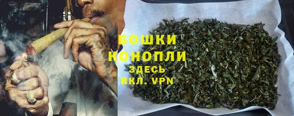 2c-b Гусев