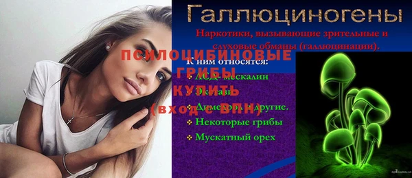 бошки Дмитров
