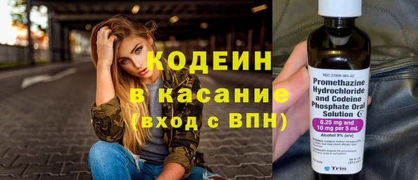 2c-b Гусев
