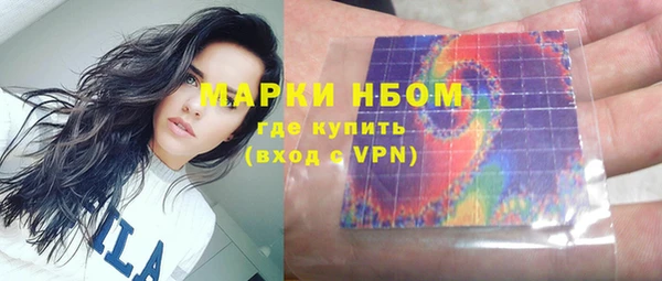 ECSTASY Гусь-Хрустальный