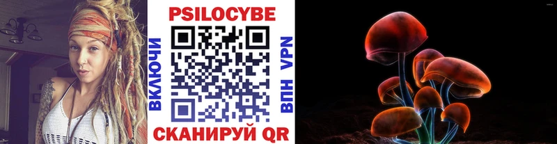 Купить закладки  Кола  Псилоцибиновые грибы прущие грибы 